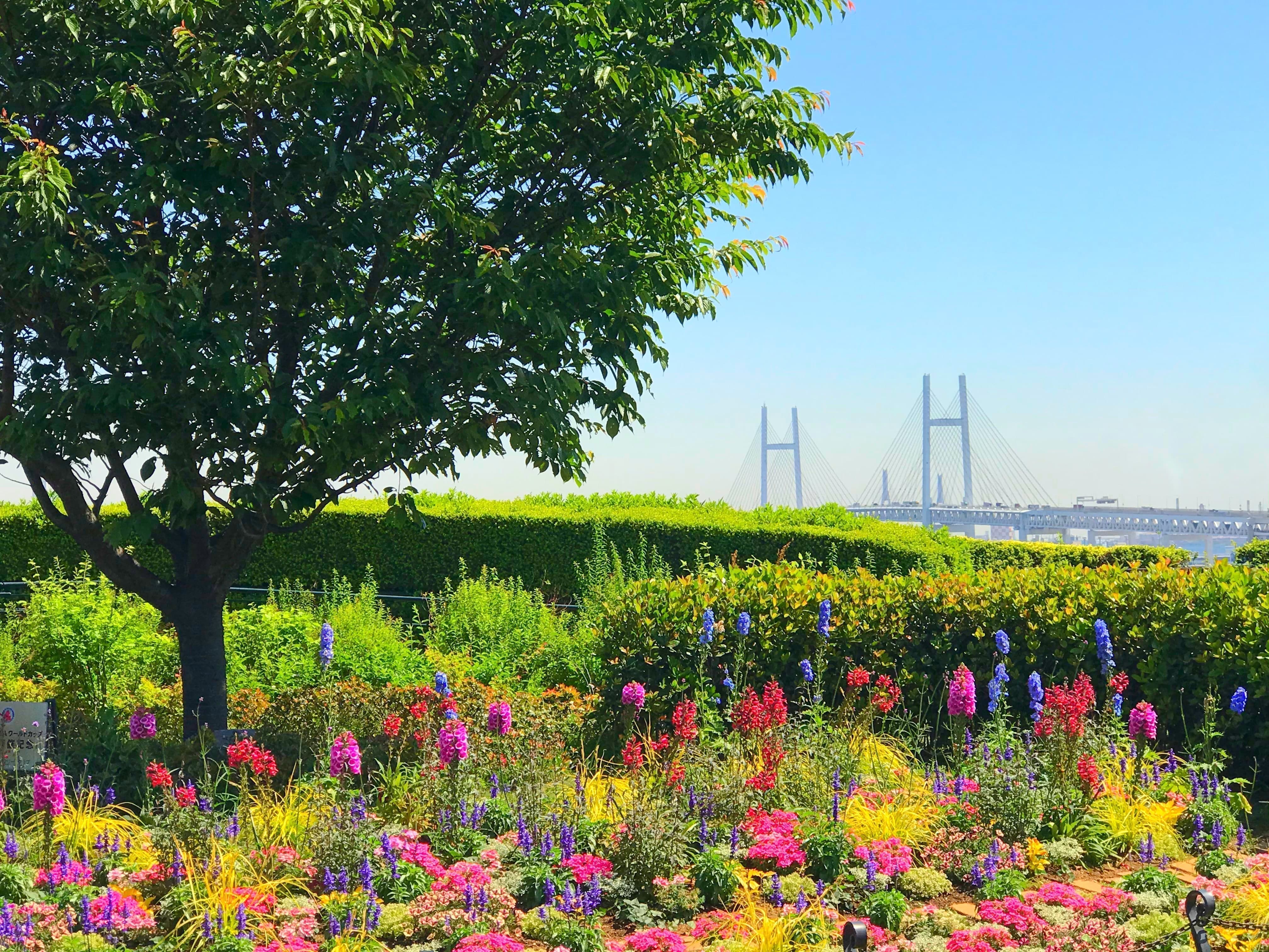 yokohama_1.jpg